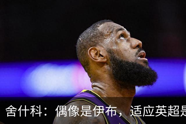 舍什科：偶像是伊布，适应英超是最难挑战，曼联理应在欧冠舞台